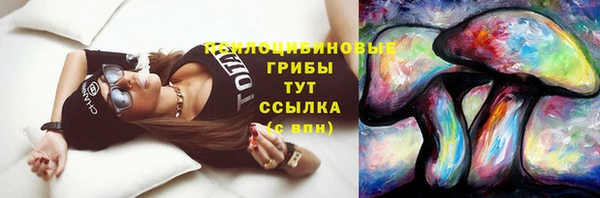 ГАЛЛЮЦИНОГЕННЫЕ ГРИБЫ Володарск